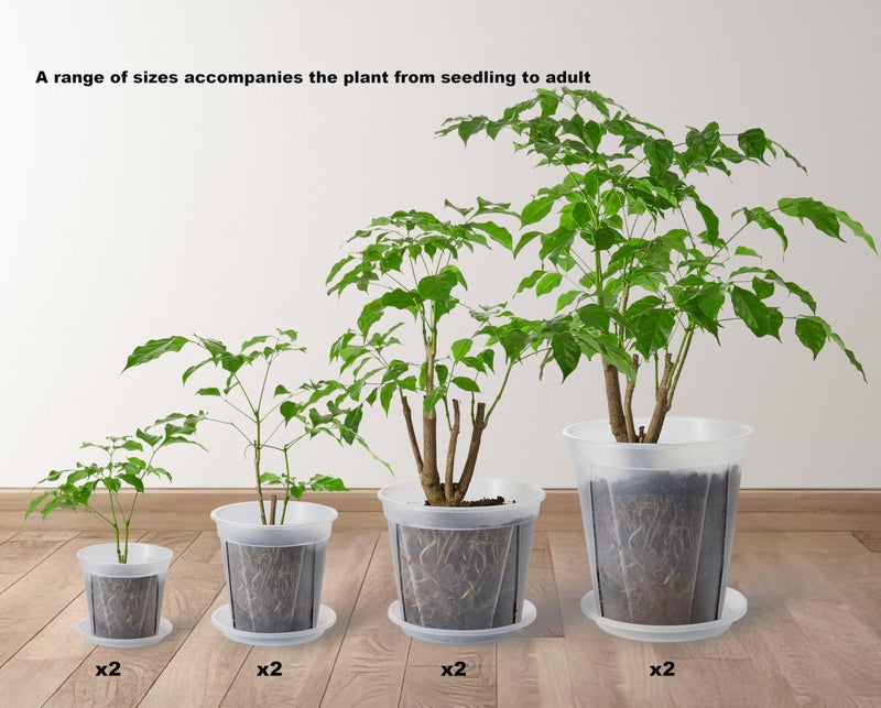 TineDew Large Clear pots for Plants 8 Sets 5/6/7/8 inch Thick Plastic Nursery pots for Plants with Drainage Holes for Monstera Plant Live Succulents etc - Indoor and Outdoor use - Image 2